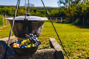 Szőlőszem Vendégházak