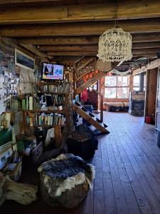 el refugio de caniche