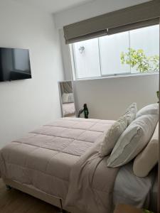 Acogedor full de Plantas