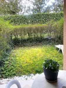 Appartements Cozy Apartment by the border : photos des chambres