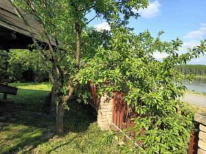 Holiday house with a parking space Dalj, Slavonija - 22471