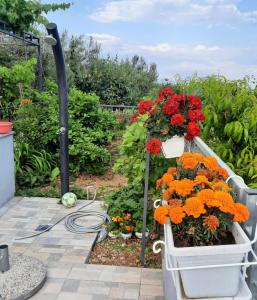 Apartments with parking space Seget Donji, Trogir - 23533