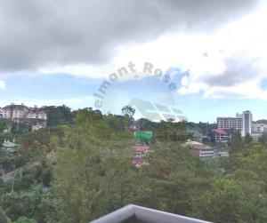 Belmont Rose Residences