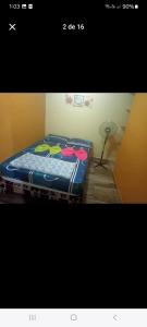 Cómodos apartamentos amoblados