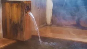 関温泉 吉野屋温泉旅館 - Itoigawa