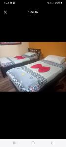 Cómodos apartamentos amoblados