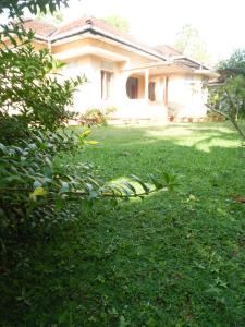 Freedom River House Free Environment Villa