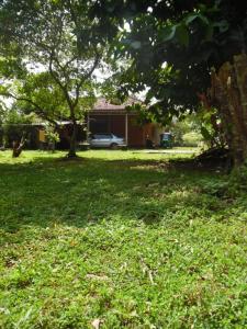 Freedom River House Free Environment Villa