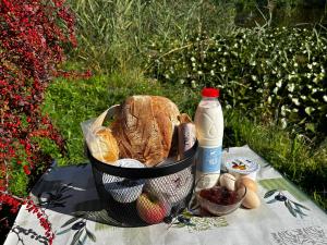 Palócliget Vendégház