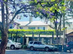 Church Street Shop Top - Fernmount