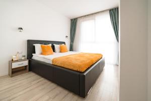 Perfect Retreat in Oradea