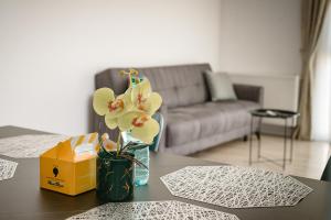 Perfect Retreat in Oradea