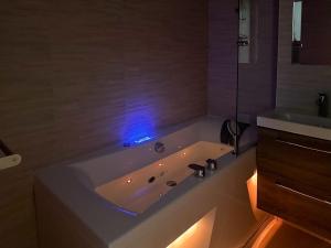 Loveroom Adults Only jacuzzi vieille ville Annecy