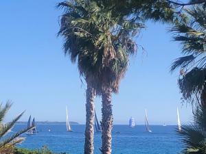 Appartements Cannes Terrace Beach Front & Sea view : photos des chambres