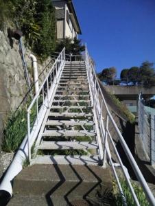 Mid-Century Yokosuka