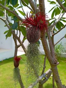 Villa Chacha à Lamai