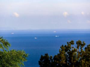 伊豆高原-忘我庵 Cozy Ocean View Villa