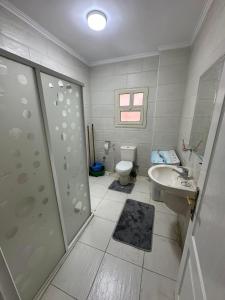 New cozy apartment in mohandsin