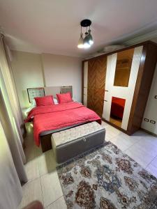 New cozy apartment in mohandsin