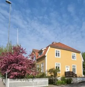 Tjädern i Centrala Söderhamn - Marma