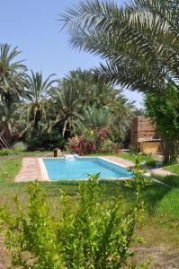 BIVOUAC Sous Les Palmiers Bleus