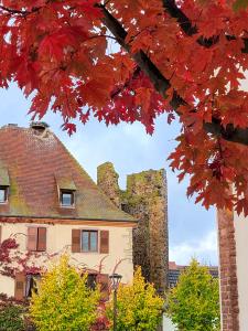 Appartements 