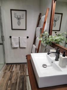Appartements 