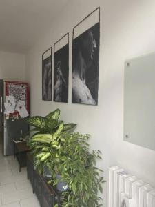 Entire house - Cute and Modern Flat, Very Well Connected to the City Center