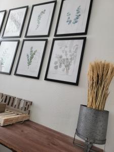 Appartements 