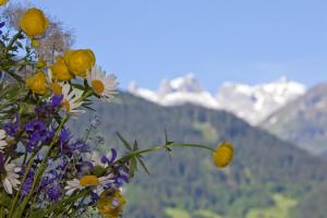 Ferienwohnung Montjola