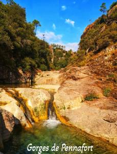 Sejours chez l'habitant Bastide de Garidelle : photos des chambres