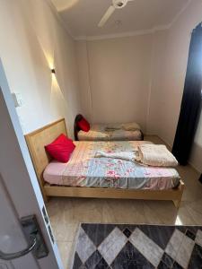 Egypt sun accommodation Spiritualities