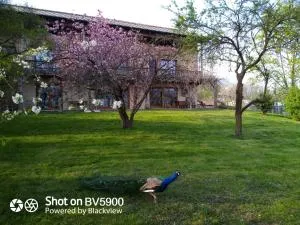 BioAgriturismo Vegan Campo di Cielo - Lentiai