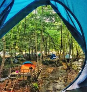 Night Beacon - Chèvreville