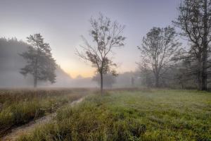 Haus Burgel inklusive Königscard