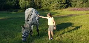 Evadez-vous à la ferme ! - Cendrieux