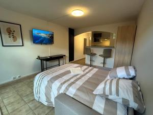 Studio Nîmois bien équipé avec parking