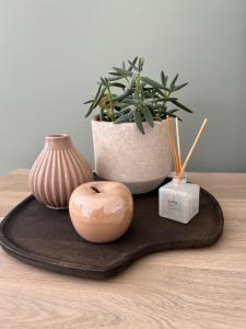 Vakantiewoning Laurijn