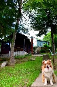 Szentlélek Vendégház - Piliscsév