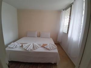 Selvática Alojamiento Eco