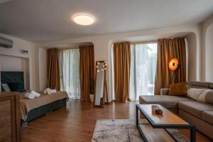 Cozy studio with FRENCH WINDOWS