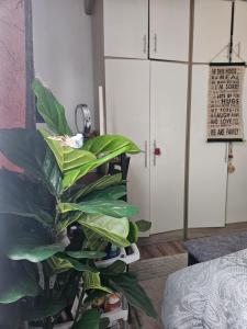 De Pearl Nest Home Tatu City- Nairobi