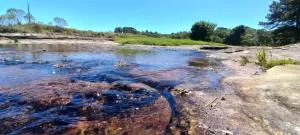 Capao da onça - 卡斯特罗