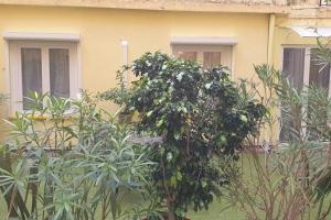 Studio Emmé neuf indépendant Nice Centre