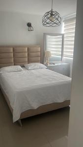Apartamento puerto Banus Rodadero sur