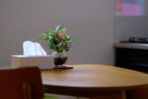 带露天浴缸全新双层别墅 3室2卫 四线电车 直达关西机场 15分钟至USj 心斋桥 难波 大阪城公园