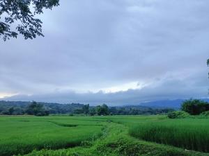 บ้านสวนเฮือนแก้ว แจ้ซ้อน โฮมสเตย์