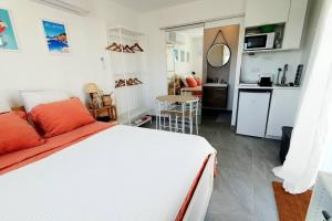 Studio avec jardin et parking proche plages et Sainte-Musse