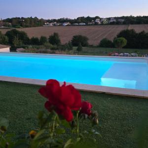 Appartements Coteaux en Vue : photos des chambres