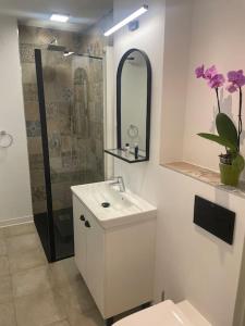 Apartment Hermann Oberth Sibiu